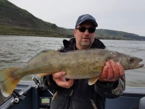 Always Catchin | Columbia River Fishing Guides